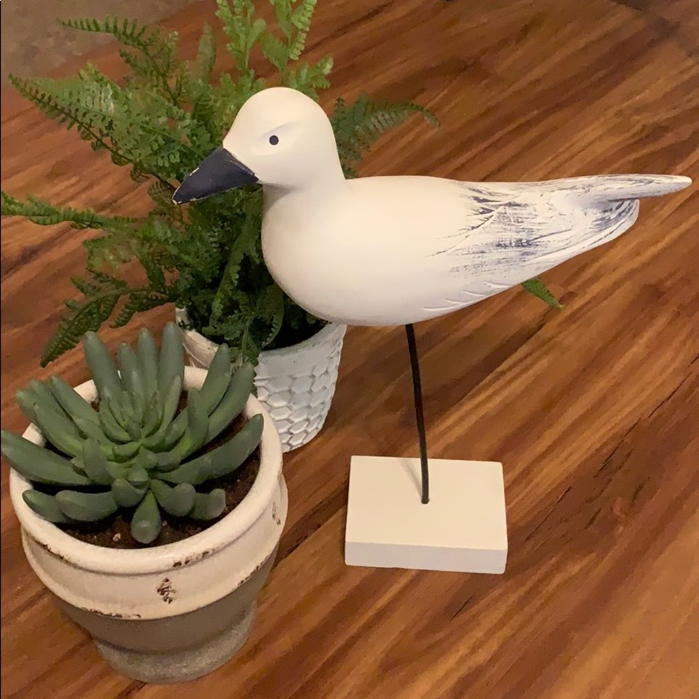 Seagull Stand